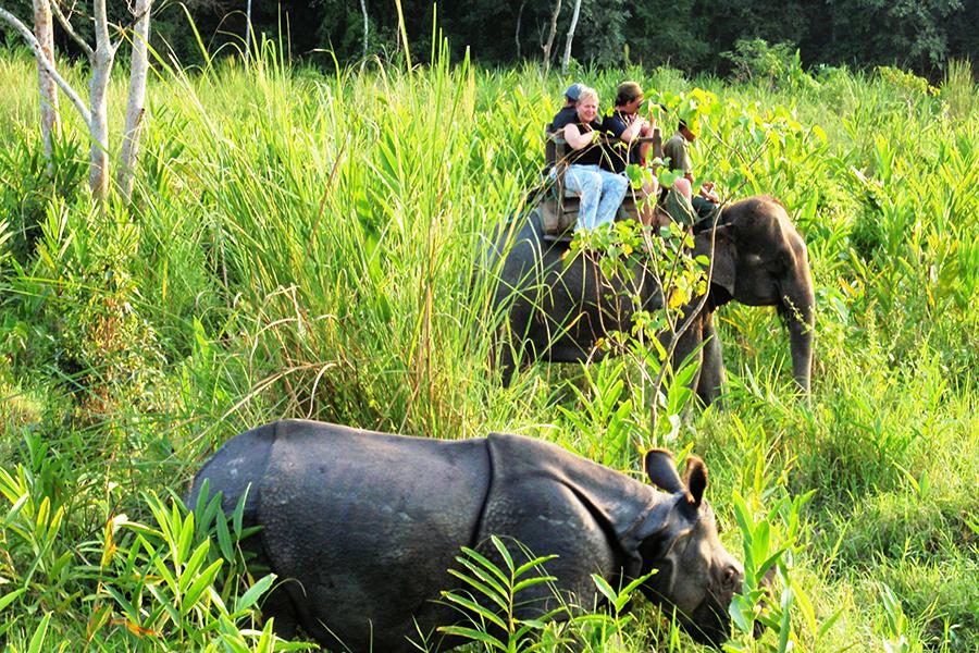 Koshi Tappu Reserve