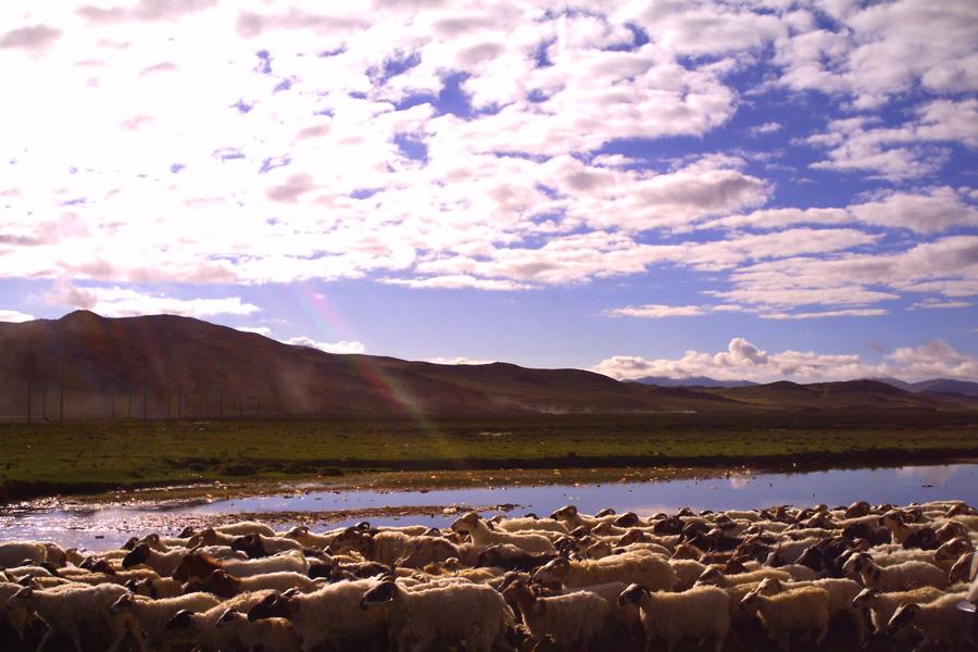 Lhasa, Mt. Kailash & Manasarovar trek