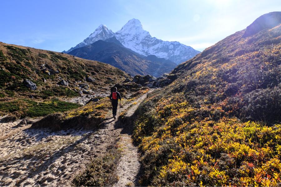 View of Amadablam