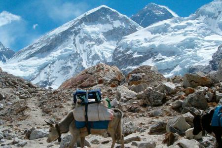 Everest Base Camp Luxury Trek