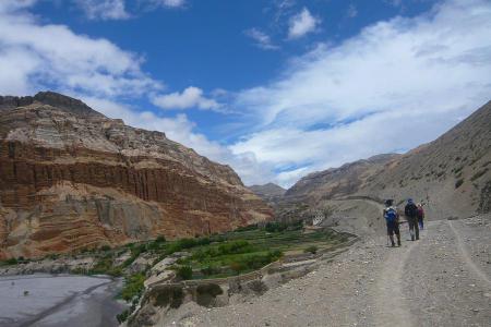 Mustang Trek